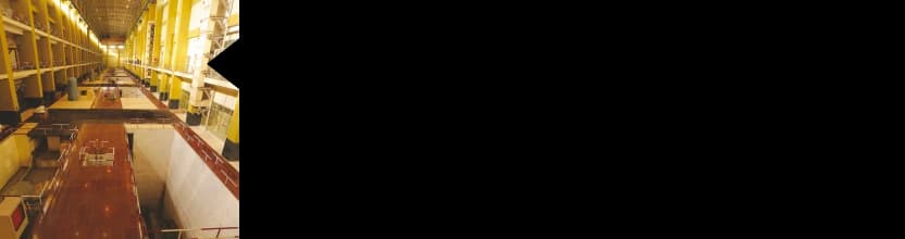 Priyadarshini Jurala Hydro Electric Project (6x39 MW)